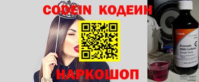 крисы Гагарин