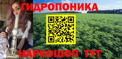 крисы Гагарин