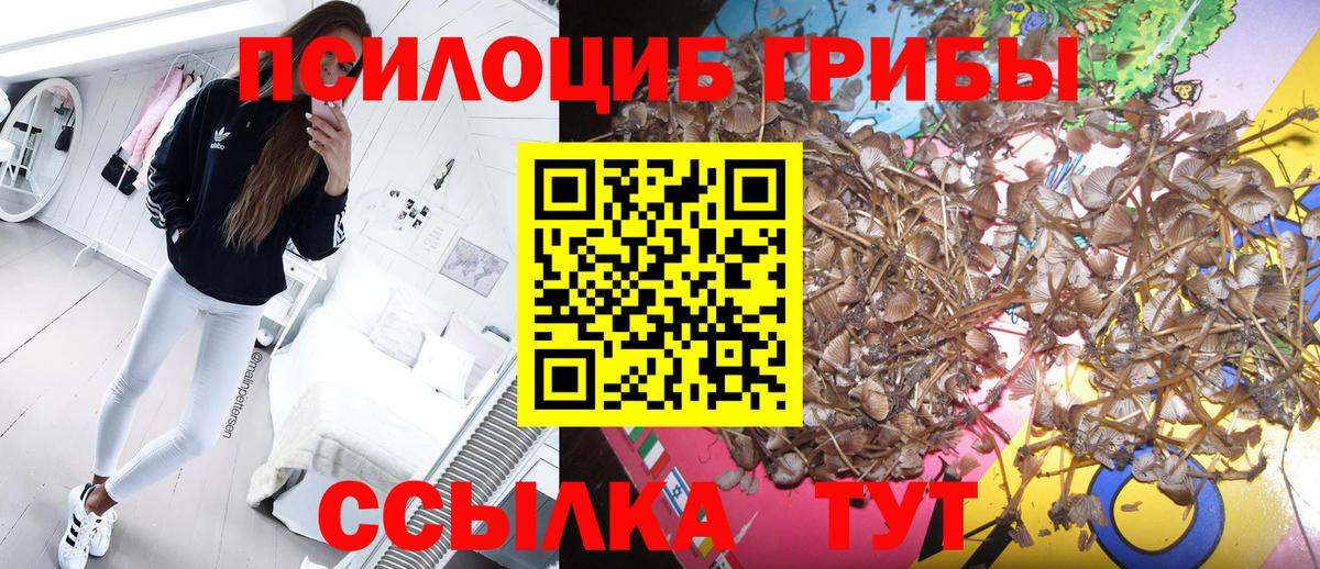 Галлюциногенные грибы MAGIC MUSHROOMS Ковров