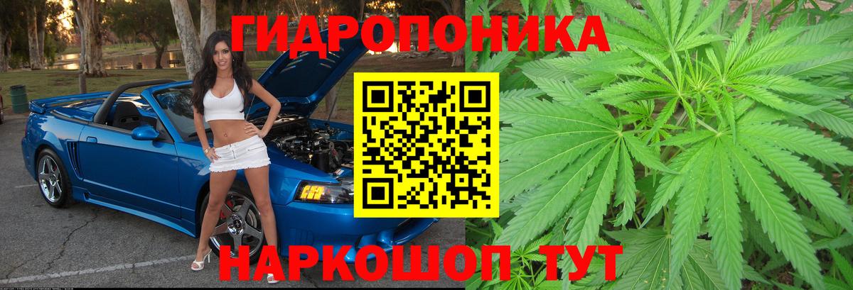Марихуана OG Kush  Вход с VPN  Марихуана марихуана  Бошки Шишки гибрид  Ковров 
